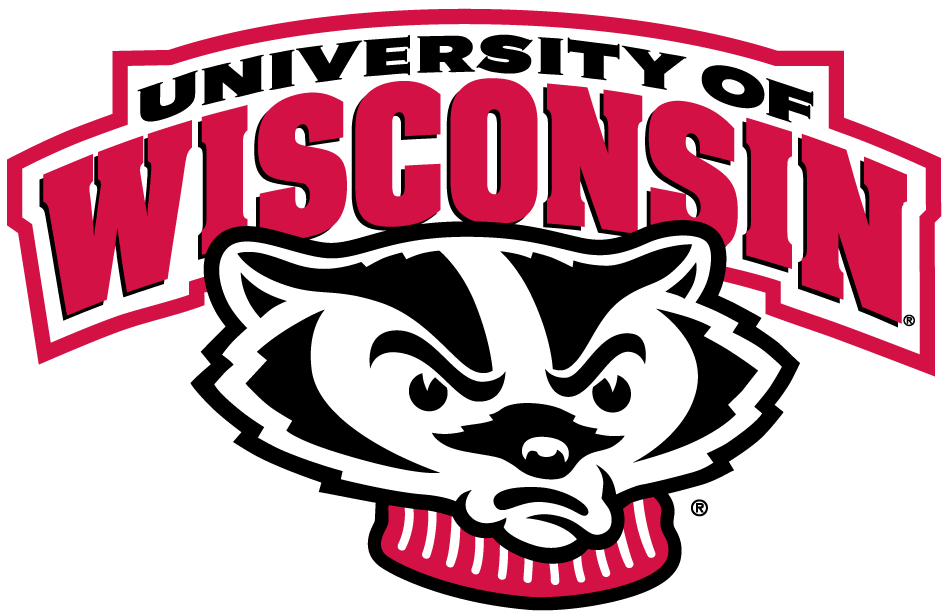 Wisconsin Badgers 2002-Pres Alternate Logo iron on transfers for T-shirts...